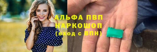СК Балахна