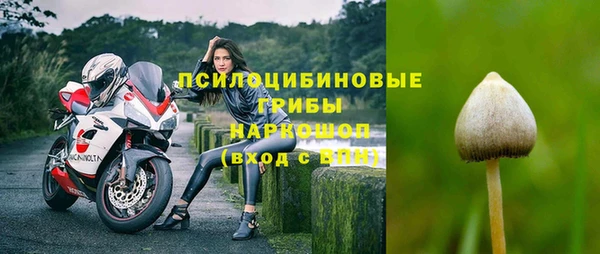 СК Балахна